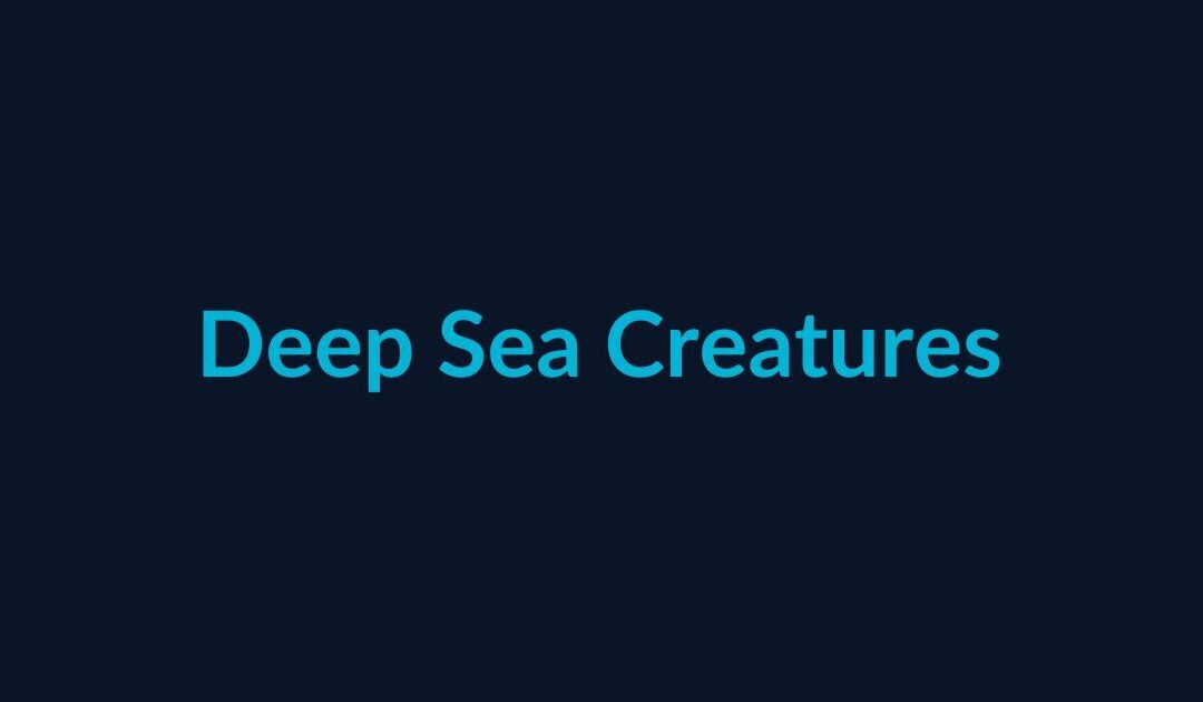 Life Under Pressure: How Deep Sea Creatures Survive Where Nothing Should