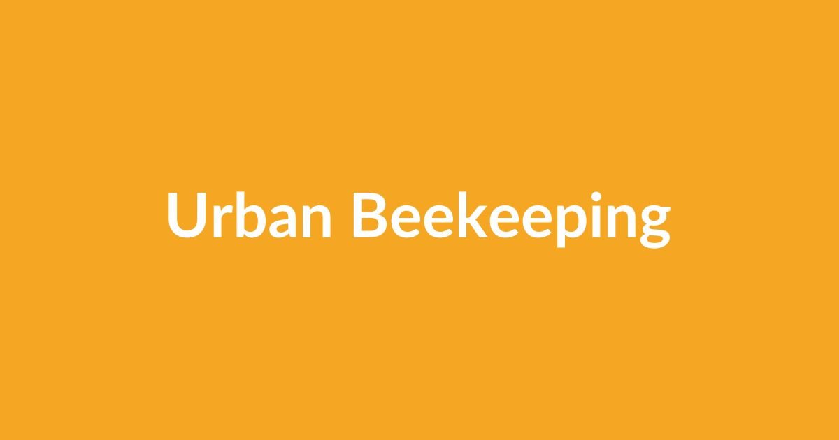 Urban beekeeper tending to rooftop beehives in the city